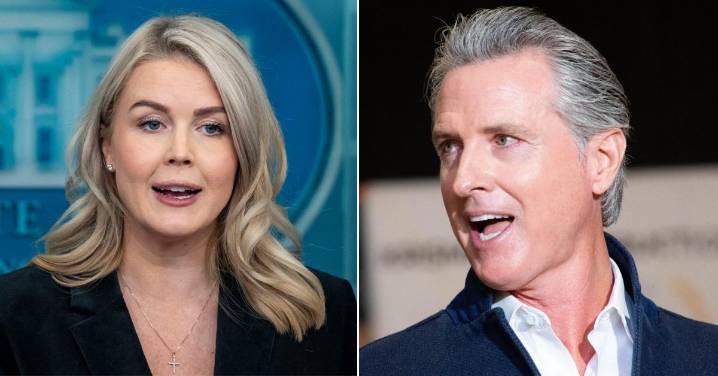 Gavin Newsom Trolls Karoline Leavitt With Savage Photo After She Defended Donald Trump's 'Piggy' Insult