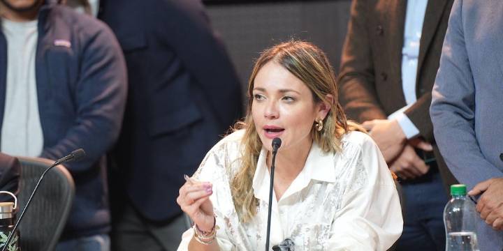 “Si el presidente puede publicar esos datos”: reclamo de Arbeláez por contradicciones en compra de aeronaves Gripen