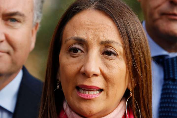 Rechazo a spot contra la violencia de género: Cecilia Pérez, exministra de Piñera, llama al CNTV a "reconsiderar la decisión"