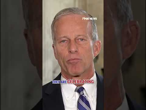 Thune: 'Reasonable' Dems being 'BULLIED' by far