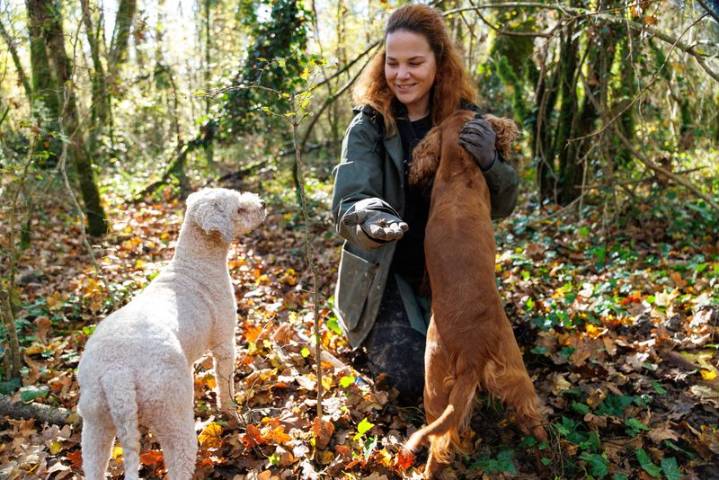 Croatia's truffle hunters pursue one of world's priciest delicacies