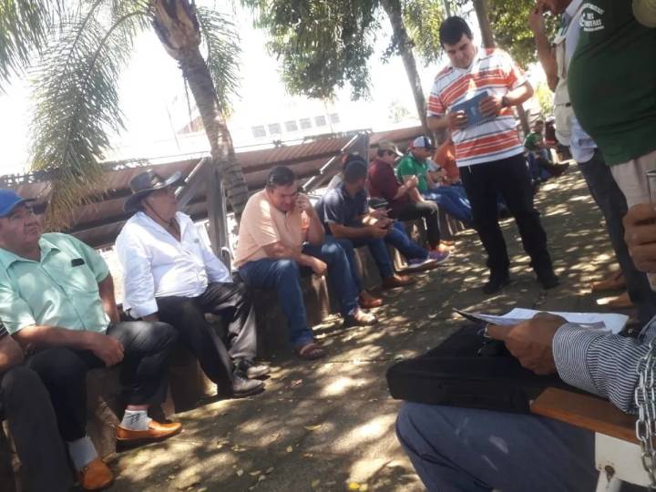 Crisis yerbatera en Paraguay: productores reclaman por cupos y prevén más eliminación de plantaciones