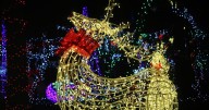 River Riders launches new holiday light show