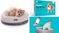 Get 25% off almost everything sitewide at Petco for Cyber Monday
