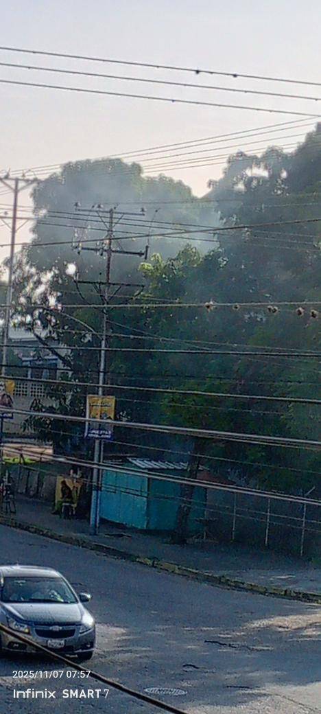 Vecinos de La Mora 2 Denuncian Contaminación Ambiental