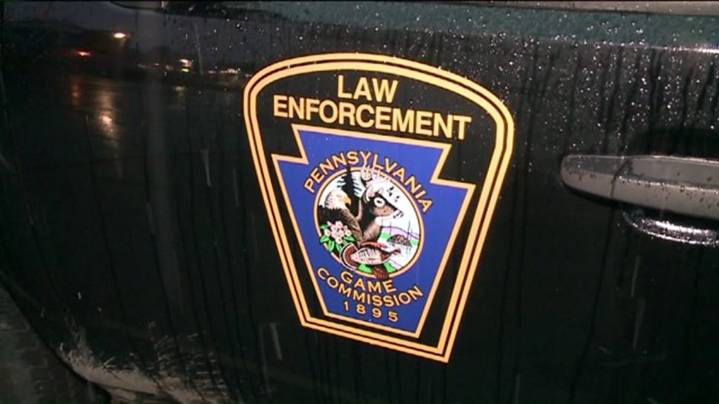 Officials seek info on illegal killing of 8-point deer with crossbow in Pennsylvania