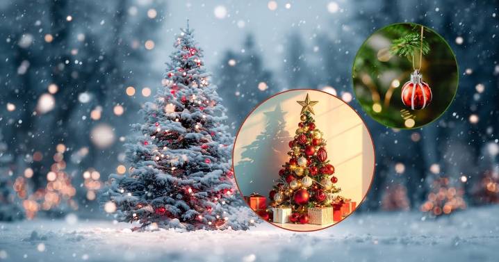 El árbol de navidad: Por qué se usa un Pino y no otro árbol, según historiadores y tradiciones