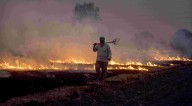 Stubble burning started in Punjab, Haryana, worsening Delhi-NCR air quality levels, SC told