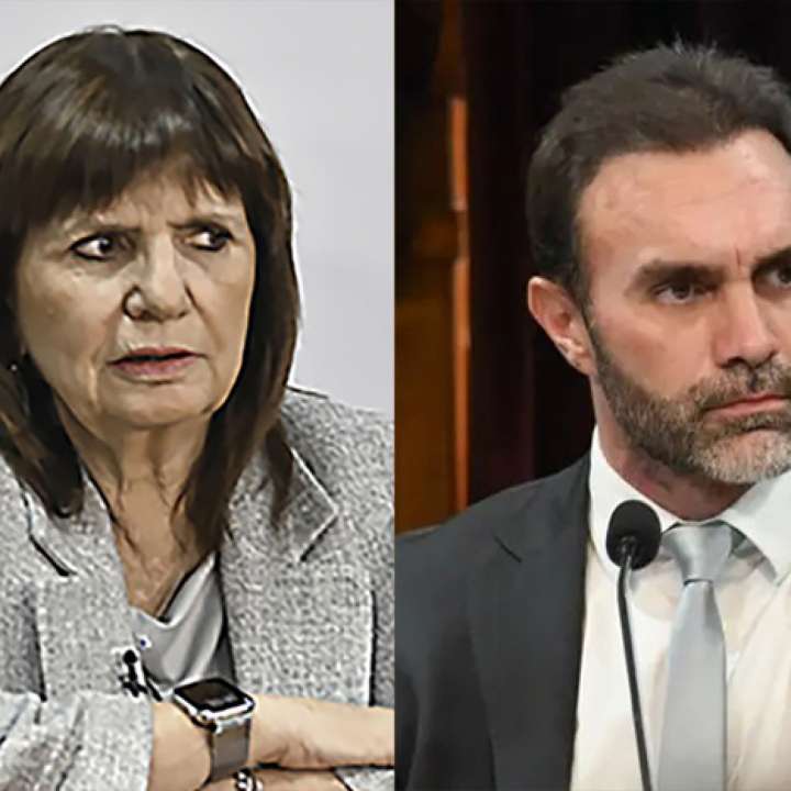 El Senado, un nuevo escenario de la interna libertaria