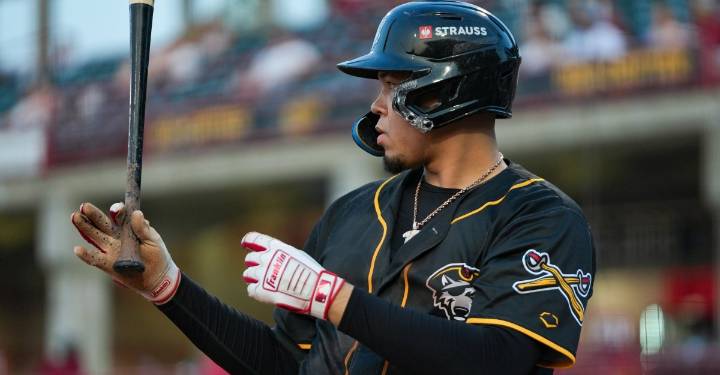 Last look at the Detroit Tigers Rule 5 roster decisions