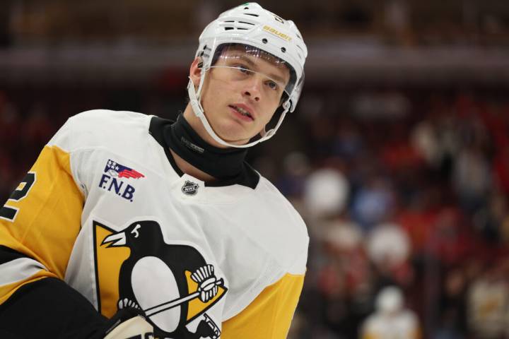 Metro Notes: McGroarty, Harding, Svechnikov