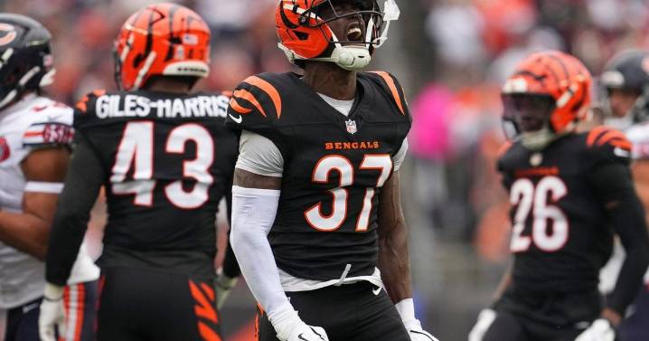 Bengals' nightmare season hits the midway point at 3-6 after two devastating losses