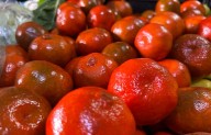 Naranja y mandarina ya son más caras; demanda en temporada las encarece
