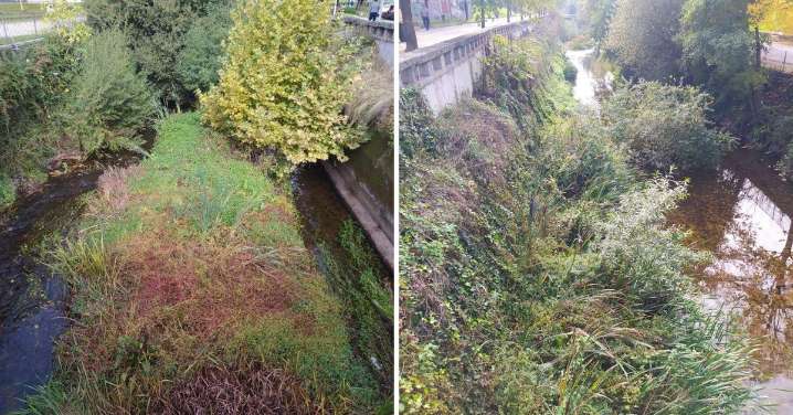Cronista local | Las denuncias de los vecinos de Ourense hoy, jueves, 6 de noviembre