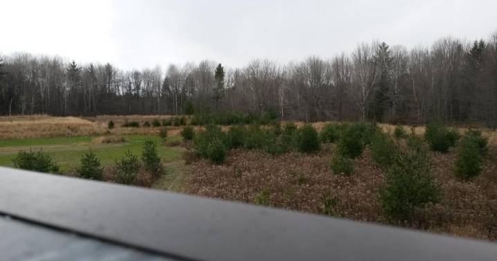 Jake Smith: Everyone’s deer season plan is different