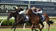 Race-by-race preview and tips for Newcastle on Thursday
