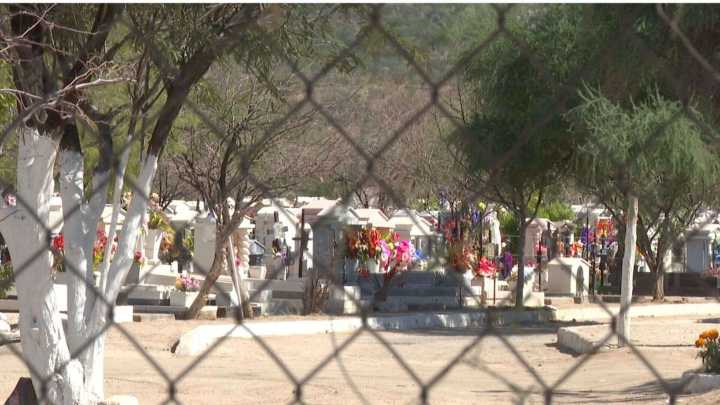 Abejas Atacan a Dos Adolescentes en Panteón Colinas de San José, en Hermosillo