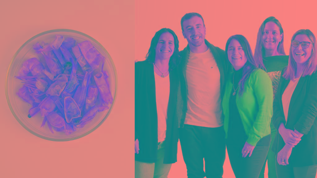 Científicos marplatenses logran reducir el uso de agroquímicos a partir del caparazón de langostinos