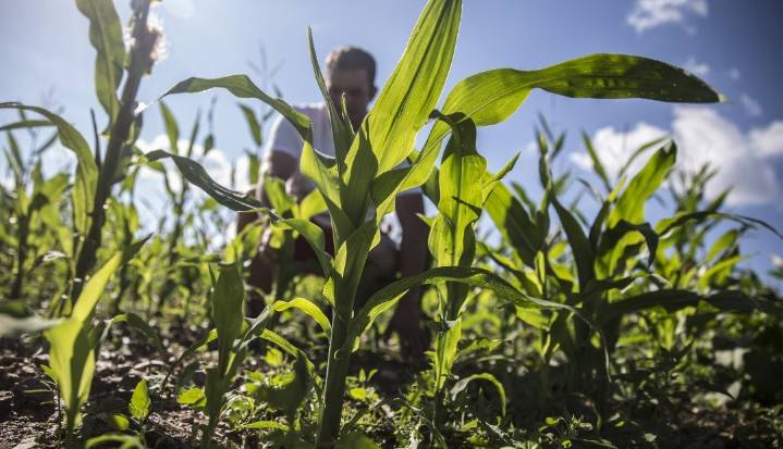 Fundación Gates promete US$1.400 millones para los agricultores por meteorología