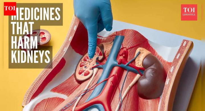 5 common medicines that can damage kidneys and what are the alternatives