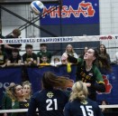 Country Day claims D2 girls volleyball state title with win over Flat Rock