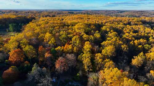 Celebrate Tyler Arboretum's trail reopening with a new challenge