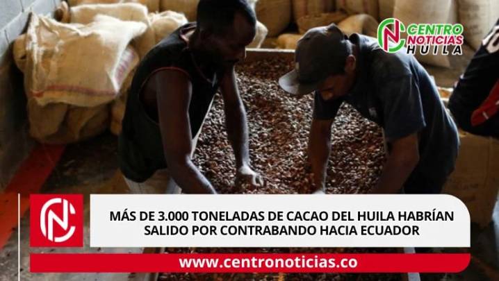 Más de 3.000 toneladas de cacao del Huila habrían salido por contrabando hacia Ecuador