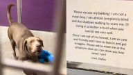 Heartbreaking Note Found On Dog’s Door During Woman's Shelter Visit In Missouri