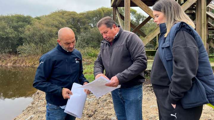 Recuperan en Budiño el hábitat de la tortuga europea que está en peligro de extinción