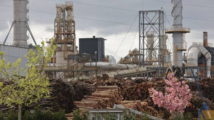 Finsa abandona el Clúster de la Madera