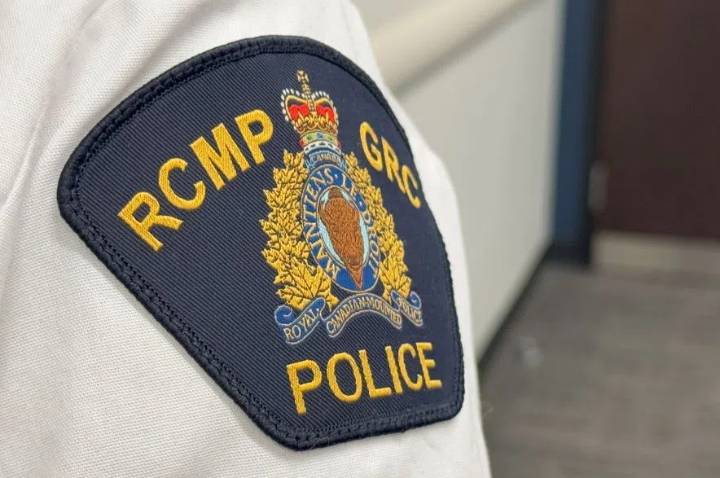 Prince Albert RCMP looking for driver they say took vehicle at gunpoint