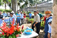 Sheinbaum oficializará apoyo a la producción del cacao en Tabasco en su próxima visita, confirma Javier May