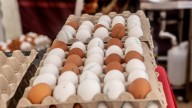 La gripe aviar "puede producir incidencias" en el precio de los huevos