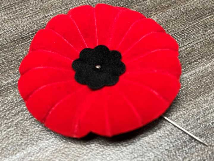 Banning poppies in courtrooms betrays sacrifices of veterans