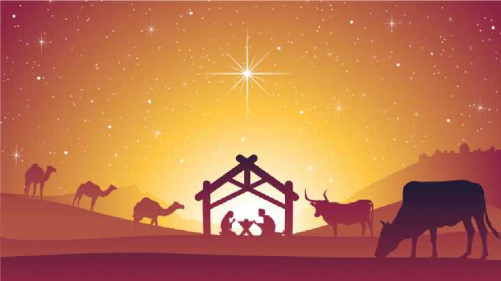 ¡Desde la conciencia y la descolonización! Nacimiento viviente tomará Plaza de la Juventud