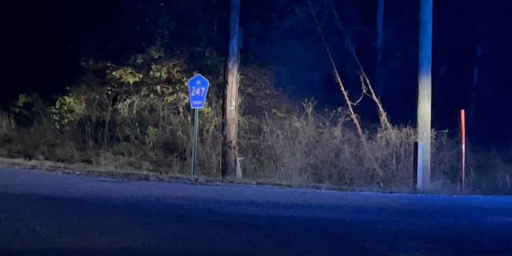 Man dies after domestic violence call leads to pursuit in Lee County