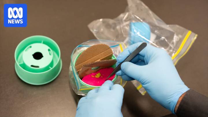 Coloured sand is being disposed of across the country due to asbestos contamination concerns. How much risk does it actually pose?