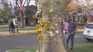 Boise community mourns young girl killed in deadly North End crash, neighbors call for safety