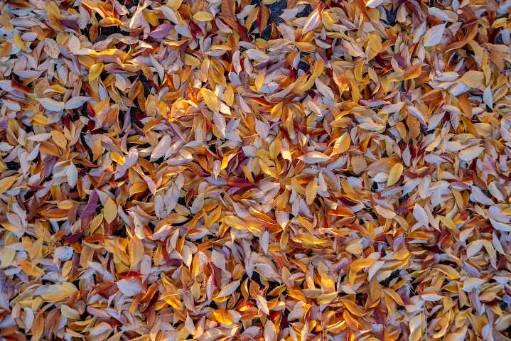 Yard waste to garden treasure: Easy composting methods for beginners