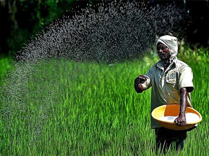 Urea imports jump over 2-fold to 58.62 lakh tons in Apr