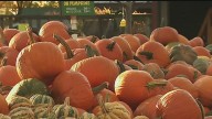 Burnsville Pumpkin Smash highlights importance of recycling pumpkins