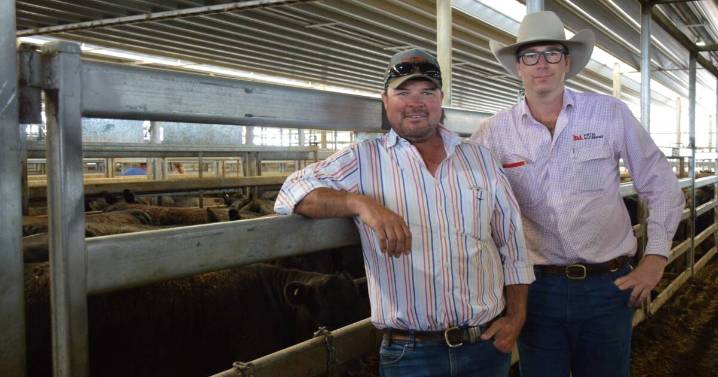 Bowyer and Livermore feature female sale hits high notes