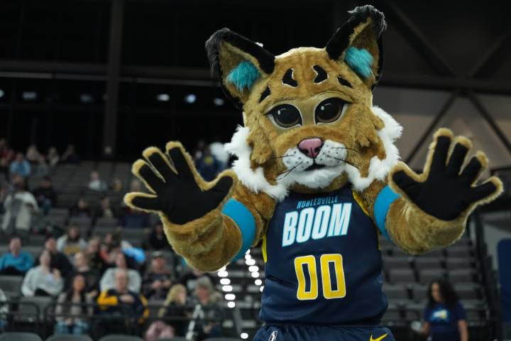 Noblesville Boom introduce new mascot, Bobby the bobcat