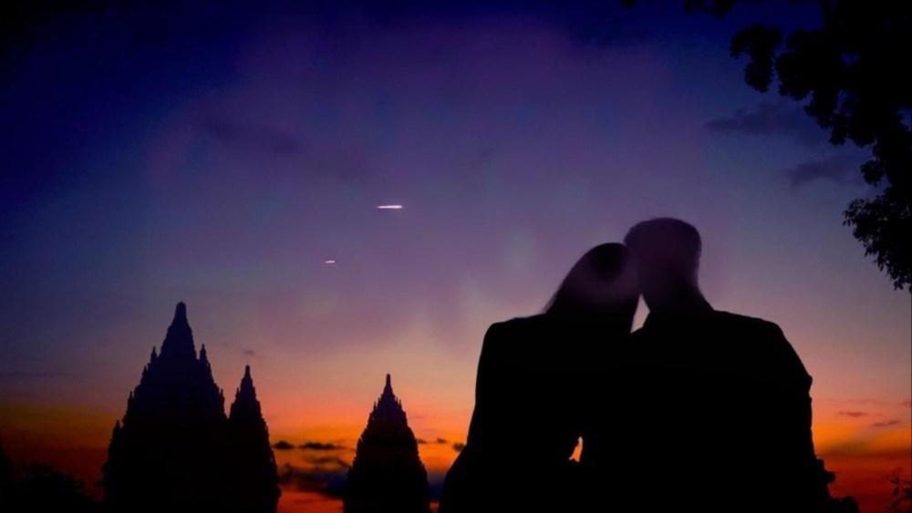 'Canopy' Director Aaron Wilson Sets Australia