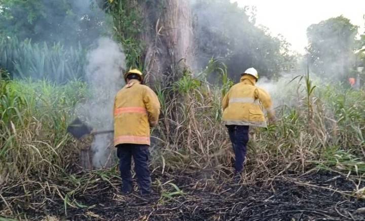 A diario se registran hasta dos incendios “de alerta” en Tucupita