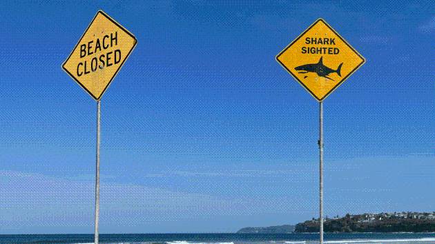 Shark attack in Australia leaves 1 dead, 1 injured