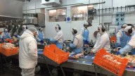 Miles de empleos en riesgo: preocupa la situación de la mayor productora de pollos del país