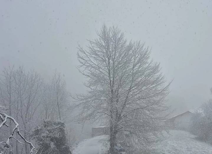 Llega la masa de aire ártico a Gipuzkoa: consulta los municipios que se quedarán con temperaturas bajo cero esta semana