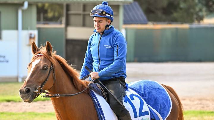 Cup form guide: Payne backs German 'X