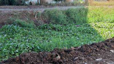 En un canal de riego localizan asesinado…